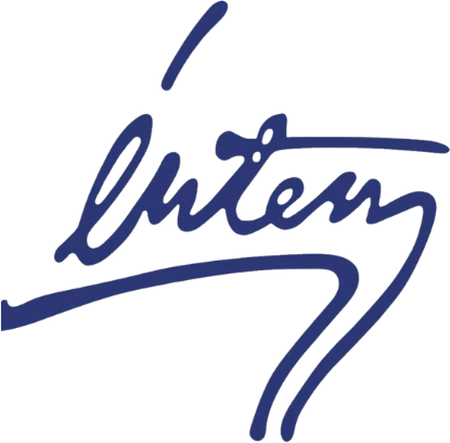 İntem Triko logosu